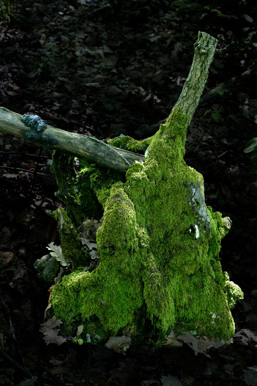 ambrogioradaell's profile picture. Mi occupo di arredamento per abitazioni private: tutto per la casa dalla A alla Z