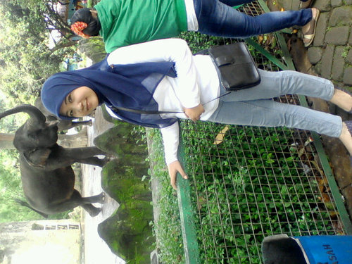 batu nunggal