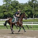 Erin Rock - @erinrockrun - Twitter