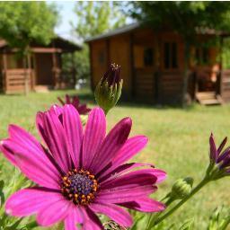 Càmping familiar amb bungalows equipats i zona d'acampada. Entre Banyoles i la Garrotxa, i pròxim a la Costa Brava i a Girona
info@campinglavall.net I 650430764