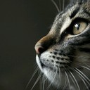 JACK HOU - @Hou1987HOU - Twitter