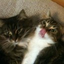 Patty Sands - @PattySands - Twitter