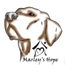 Marley's Hope is a not-for-profit all breed dog rescue where we try to take dogs from high risk situations, and find them their forever home.