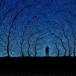 DesvariosVarios's profile picture. Constructor de cohetes, experto en Pizzas, amante de los gigantes, yo.