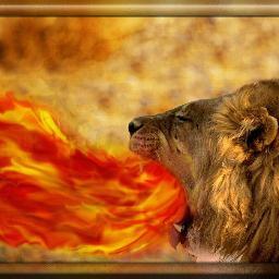 GaditeSoulja's profile picture. #Israelitebyblood#Cherokee#TrailofTears#TribeofGad#KJVA1611 Yadah Ahayah ba ha sham Yashaya wa ha Qadash Rawach!!!  #Mat24TAKEHEEDthatnomandeceiveu.. #SeekTruth