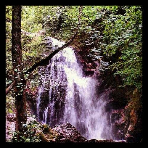 nurialiber's profile picture. 