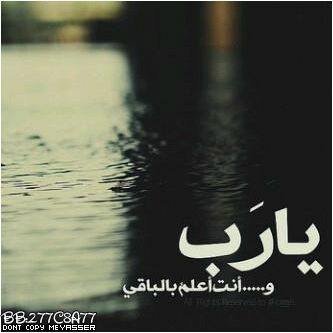 ‏‏‏‏القرآن : تربيتتنا الأعظم على وجه الحياه♡♡                                                  salalah