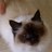 sassyk58's profile image