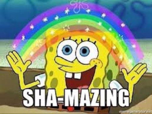 Nothing but shamazingness! Got anything shamazing worth sharing? Let us know and we'll tweet it!