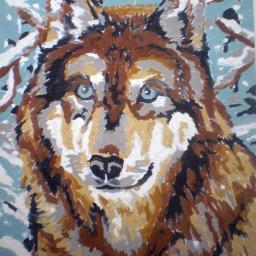 LoneWolfJerky's profile picture. even though the jerky company no longer exists, I wanted to keep this account so people who follow me know I'm still around.