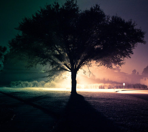 some_1111's profile picture. 