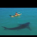 sam tharp - @sam_tharp - Twitter