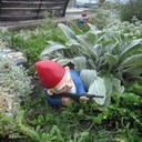 Matthew Read - @ninjasonmyroof - Twitter