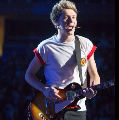 Im Niall, Im In One Direction,Im Sing And Plays An Instrument with 6 Strings On It!