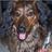 Thompsonkt60's profile image