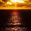 Alaina Schaefer - @schaefer23 - Twitter