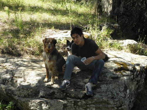 Isayarmadrid's profile picture. Mi pasión el fútbol ⚽
Instagram: 
https://t.co/UfiO7SQVaU