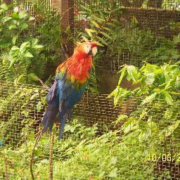 MORPHOS1's profile picture. 