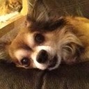 robert hero - @robbiehero - Twitter