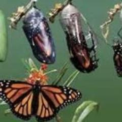 Transforming Stories of God's people coming home| https://t.co/zht58ZLb4I I |Like @ http://t.co/venSezY6ln