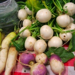 Providing local produce, food, and crafts to Richmond, IN and the Whitewater Valley December-April.