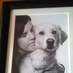 pamela doyle (@pameladoyle1) Twitter profile photo