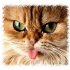 vaza_andressa's profile picture. 