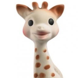 Girafe, internaute dilettante aux goûts éclectiques, #TeamBisounours. Maman de #11ans. Gifs addict.