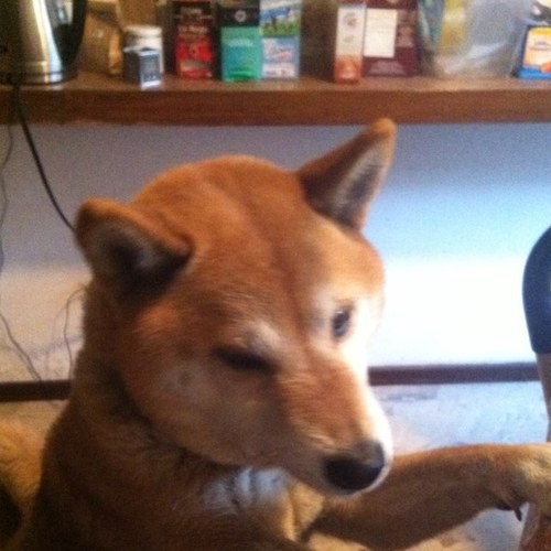 stern_catalina's profile picture. 