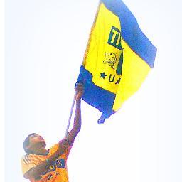 MI EQUIPO FAVORITO ★★★TIGRES★★★