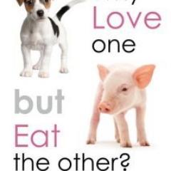 derrylp's profile picture. 