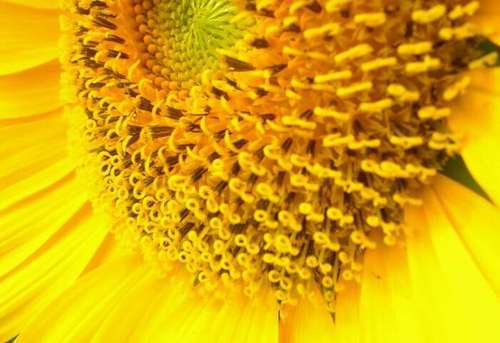 TheKamakura's profile picture. 還暦をすぎて貧血や金欠で毎日へとへとですが、みなとYokohamaから『Guts!』& 『Work for peace!』⇔『SDGs』を旗印に、気になることをtweet&RTしますよ!! 
☆彡フォローの基本方針は『来る者を拒まず、去る者を追わず』です。　☆彡表アカウントが別にあるので、そちらでも…See you.