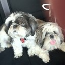 Kim Worden - @worden_kim - Twitter