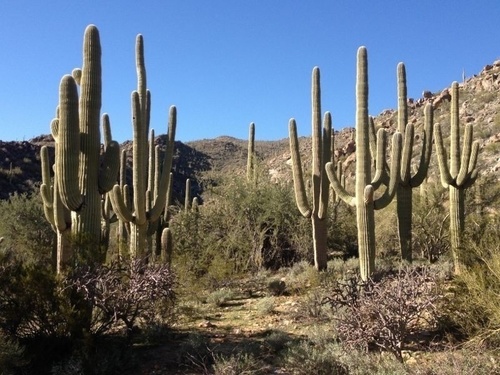 sterndog29's profile picture. Pro golfer