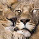 elena gray - @ElenagrayGray - Twitter