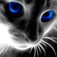 rudiheriyanto5's profile picture. Ka Team QA/R&D Printing