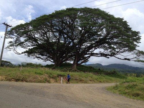 Come from a country that has more then 800 hundred languages and islands,above Australia. Married with three children live in the capital city, Port Moresby.PNG