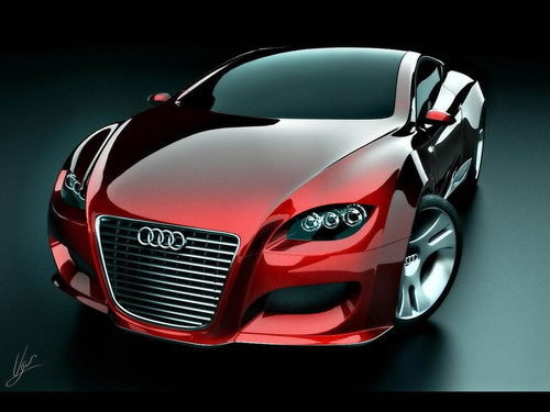 car lover