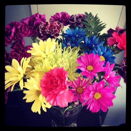 aseloka's profile picture. 