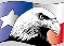 Alpha Laser Recharge providing toner and service in the local Houston area for over 20 years.