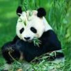 http://t.co/j31kx8dtrh provides leading stock market news and analysis, powerful investing products and education to help investors make money.