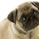 Lincoln Hatfield - @HatfieldFest80 - Twitter