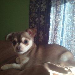 AngieLo66054053's profile picture. Follow me I follow back