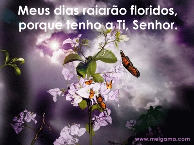 Aijaloncavalcante