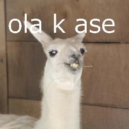 SINGADERAAAAAAAAAAAA Y MAS NAAAAAH.