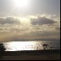 yoko (@yoronko) Twitter profile photo