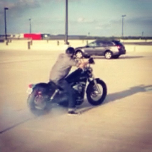 taylord729's profile picture. 