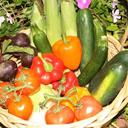 Mark Ott - @c130rioking1 - Twitter