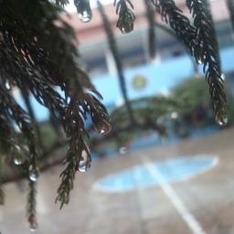 smppasundan2bdg's profile picture. Official Account SMP PASUNDAN 2 KOTA BANDUNG