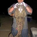 bill ingle - @naptownz_finezt - Twitter